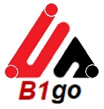 B1Go Consultoria e Treinamento